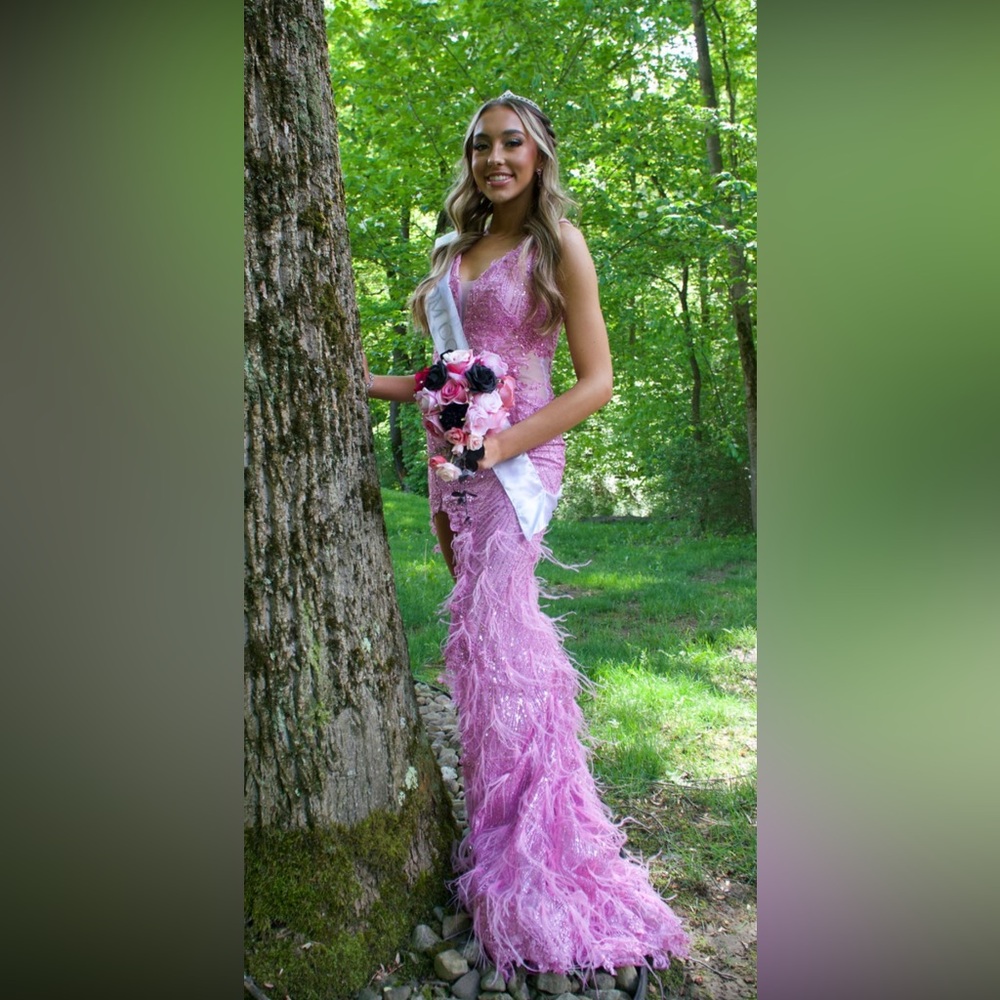 Portia and Scarlett Pink Feathered Gown